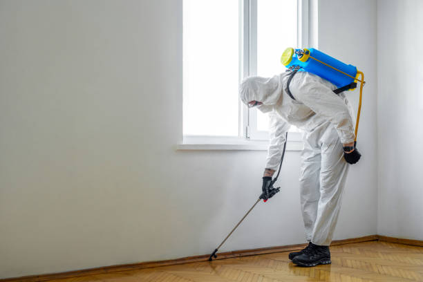 Best Pest Prevention Services  in Everett, WA